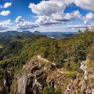 Meet your Posher, Phil